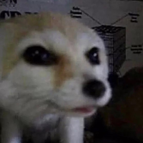 @TickTimeSpirit https://t.co/38lQ7667O0