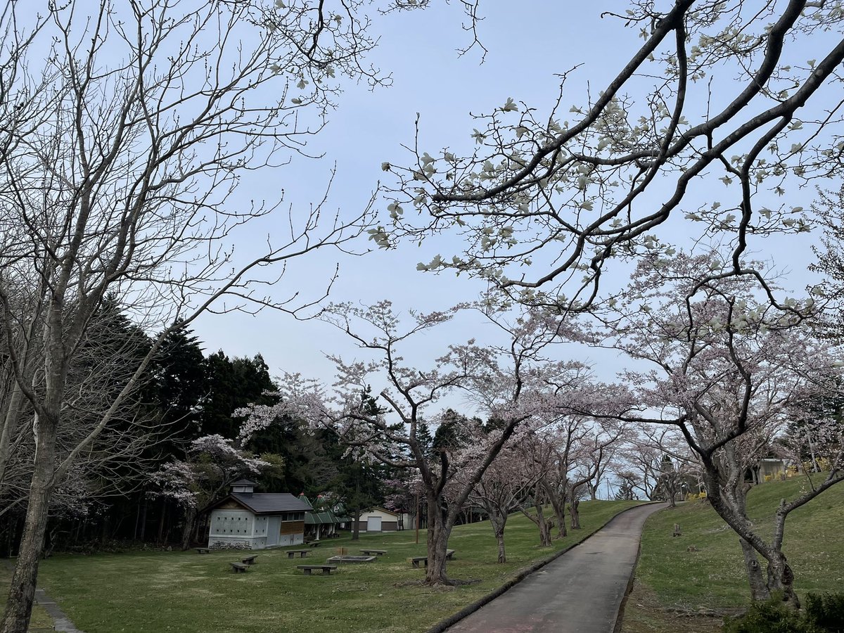yakumo_kyoryoku's tweet photo. 今日からオープンです!
熊石の桜の名所🌸熊石青少年旅行村キャンプ場
今朝の様子です☺︎
桜の満開までもう少しかなぁ〜☺︎
#八雲町 #熊石 #青少年旅行村 #キャンプ場 #花見 #桜の開花 #cocoキャン #cococamp #hokkaido https://t.co/XRRiaoACJT