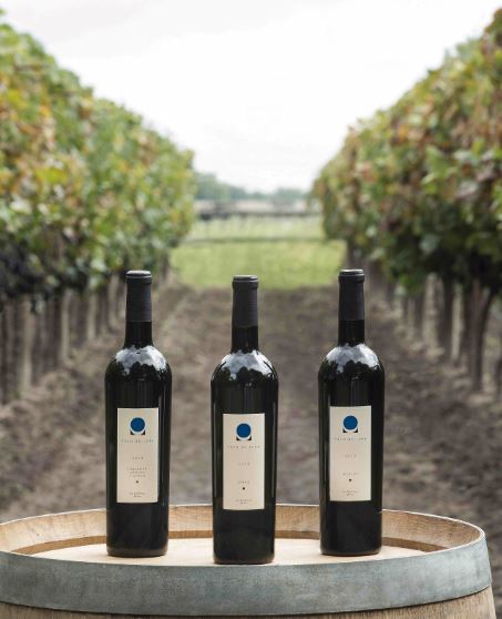 El terroir de Poza de Luna se compone de 15 hectáreas de vid plantadas con nueve suelos diferentes. Sus vinos tienen una crianza de 14 meses en barrica nueva y 26 meses de reposo en botella, para un total de 40 meses, que muy pocos vinos mexicanos tienen.