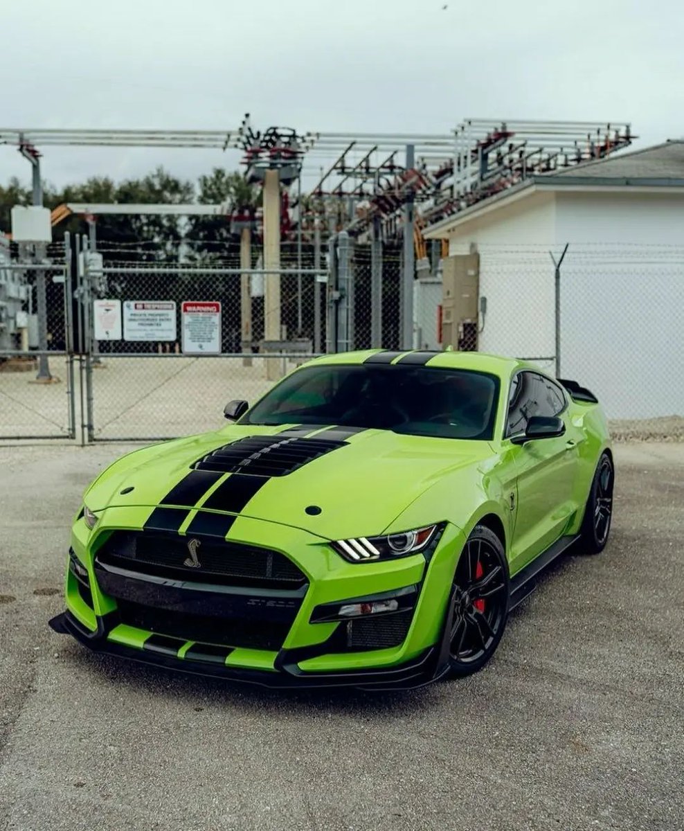Ford Mustang Shelby GT500 💚😍