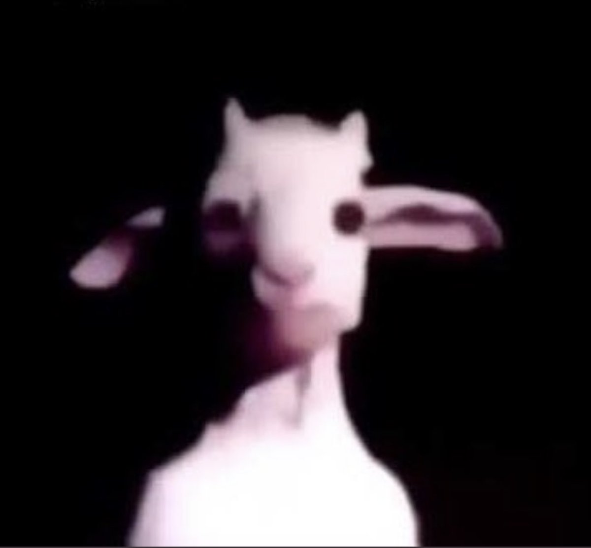 Yo viendo la nota del examen en que le dije que me iba a sacar un 100 de fijo