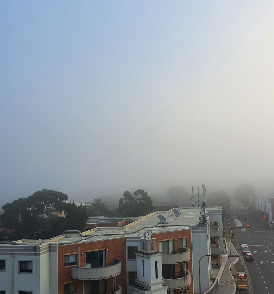Gm, foggy day today... a cuppa before work.. have a good one ☕️