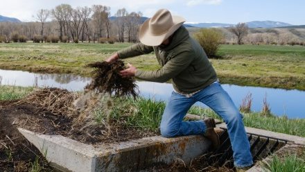 New report: Insights Gained on Agricultural Water Conservation for Water Security in the Upper #ColoradoRiver Basin - this was one of my last <a href="/watercentercmu/">Water Center at CMU</a> projects: 
coloradomesa.edu/water-center/i…