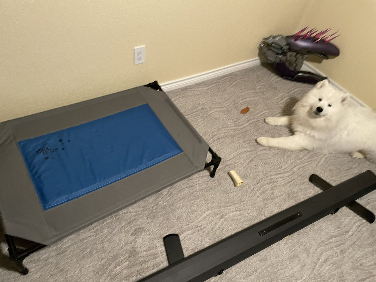 wayneradiotv's tweet photo. he REFUSES to use his new special cooling bed he just camps the needler spawn all day https://t.co/1WCHi4pxnX