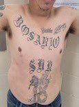 USBPChiefRGV's tweet photo. RGV agents arrest a sex offender and gang members after they illegally entered the U.S. One was sentenced to 2 years probation for a crime against a child. Criminals often conceal themselves with a group of migrants in an effort to conceal their identity.
https://t.co/E0vUXmiEeN https://t.co/zl0iZE3VNv