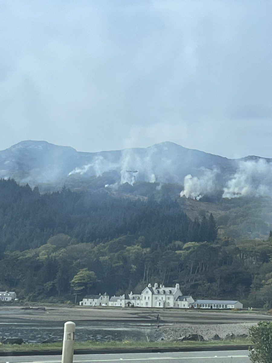 Michael Macdiarmid tweet media