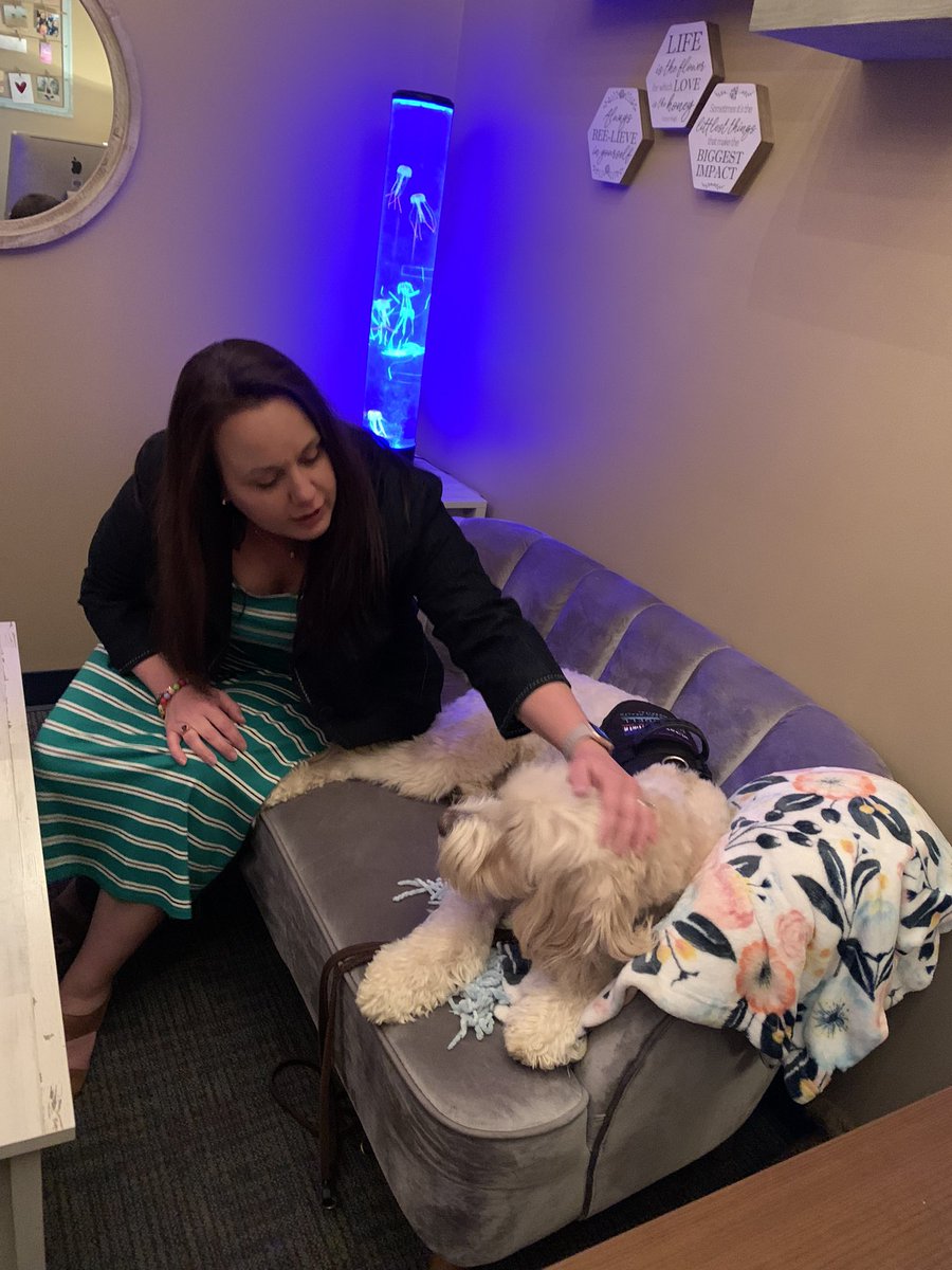 JresRudolph's tweet photo. Every day with Beau is a happy day!
❤️🐾#therapy @JresRockets @toddhazel1 https://t.co/f5KdXZaY0R