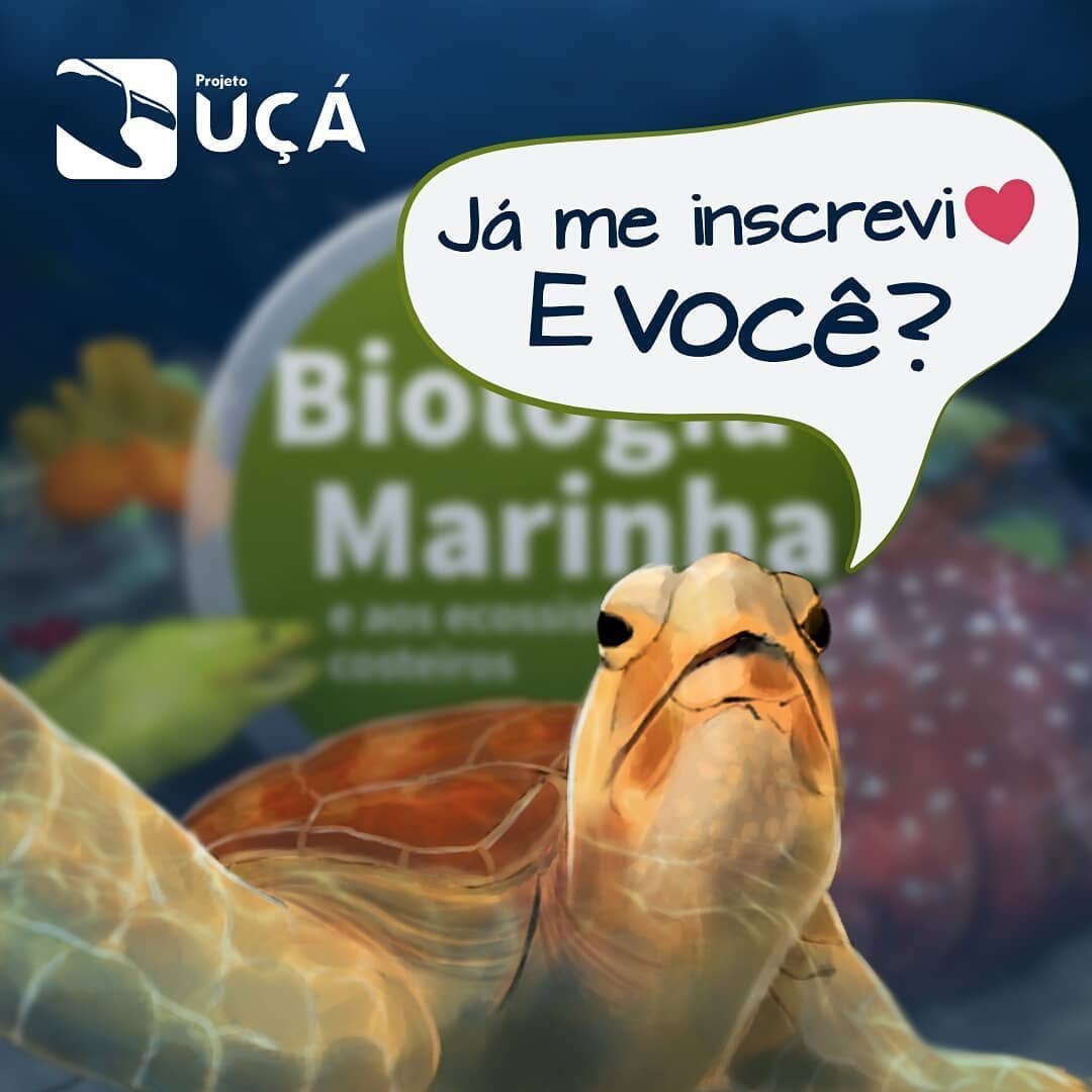projetouca_'s tweet photo. Ei, você ai, já se inscreveu?? 👀 

As inscrições pra 2º edição do Curso Introdução a Biologia Marinha se encerram em breve. E nós viemos te lembrar, para não deixar essa mega oportunidade de conhecer mais sobre os ambientes costeiros passar. 🦀🐙🐟🐚 https://t.co/yO7Us4MjSa