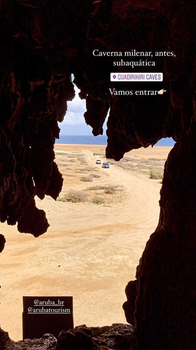 6 passeios imperdíveis para fazer em Aruba 🇦🇼
catracalivre.com.br/viagem-livre/r…