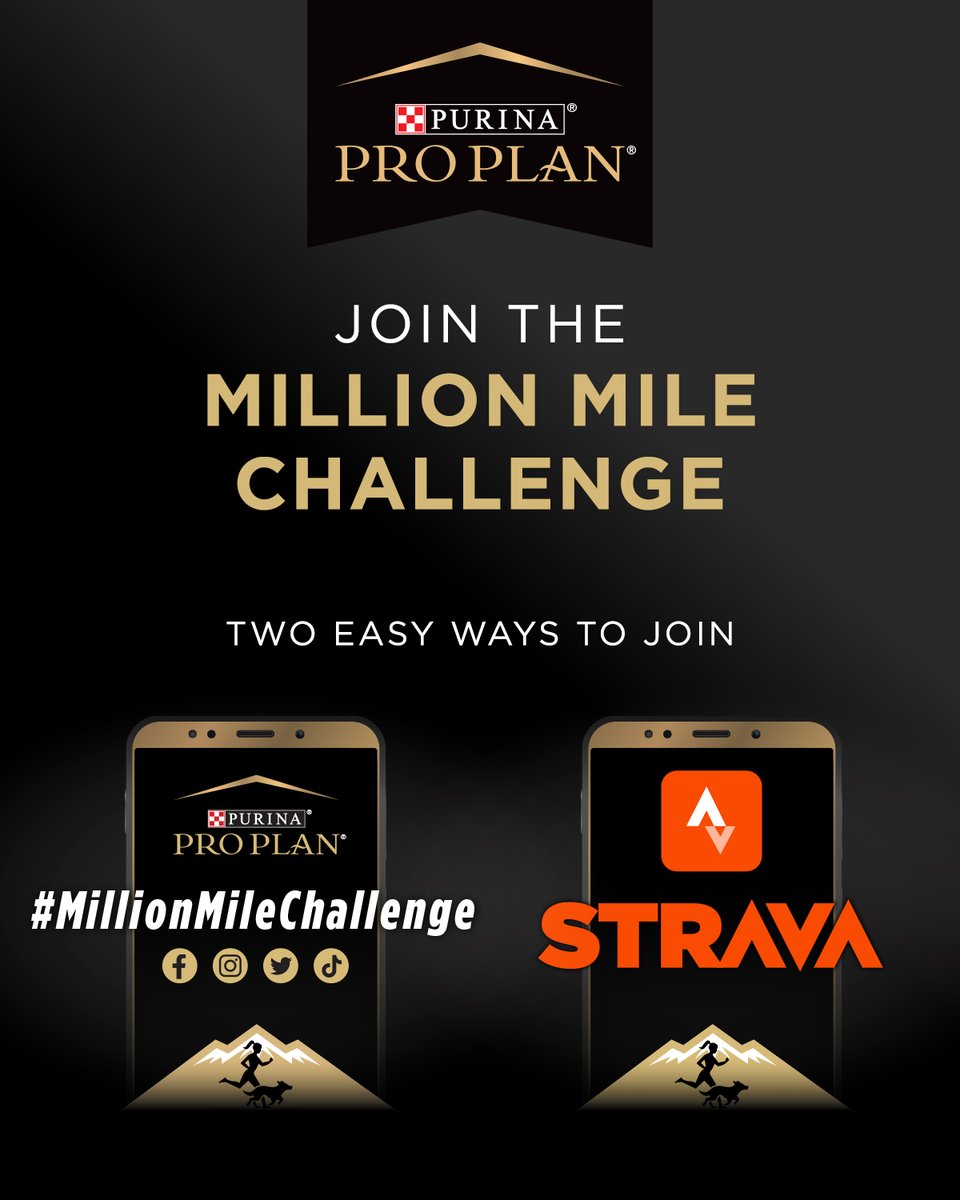 Pro Plan tweet media