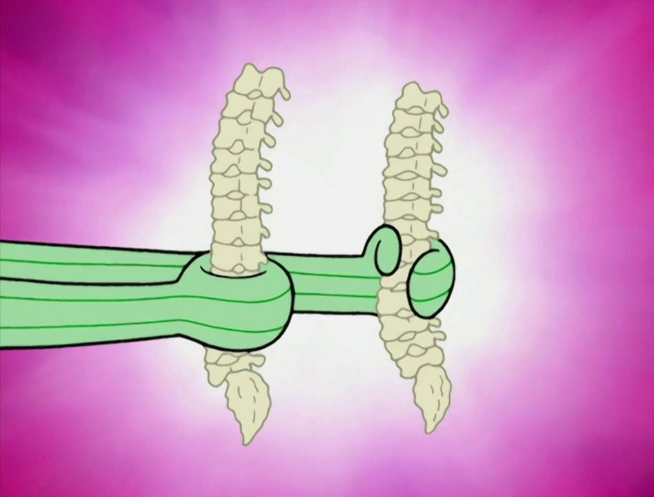 SbFramesInOrder's tweet photo. SpongeBob SquarePants - Season 5 Episode 12 - Frame 1905 out of 1940 https://t.co/t7wrQH88jx