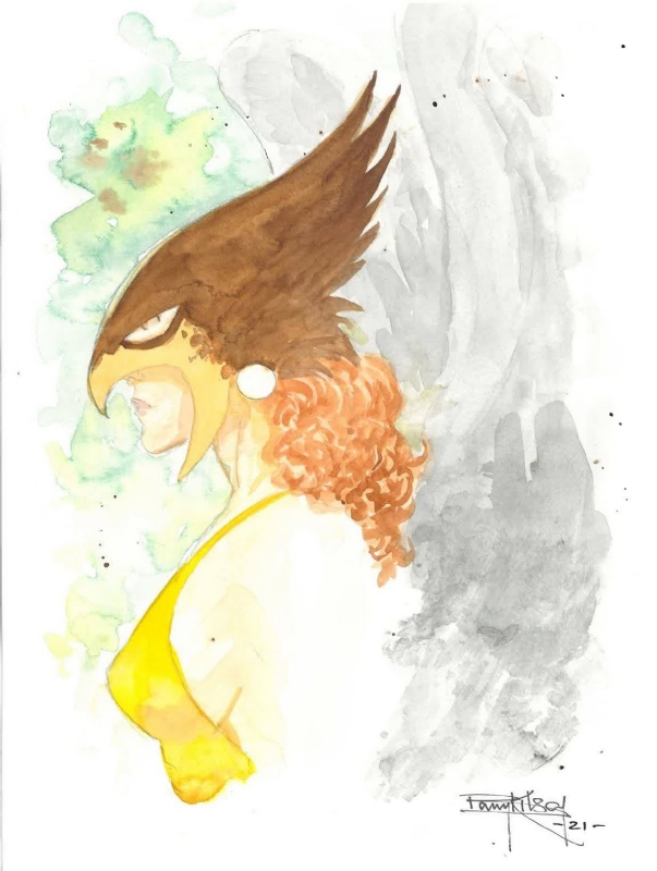 Olhos de águia.. by BARRY KITSON!

#BarryKitson #HawkGirl #dccomics