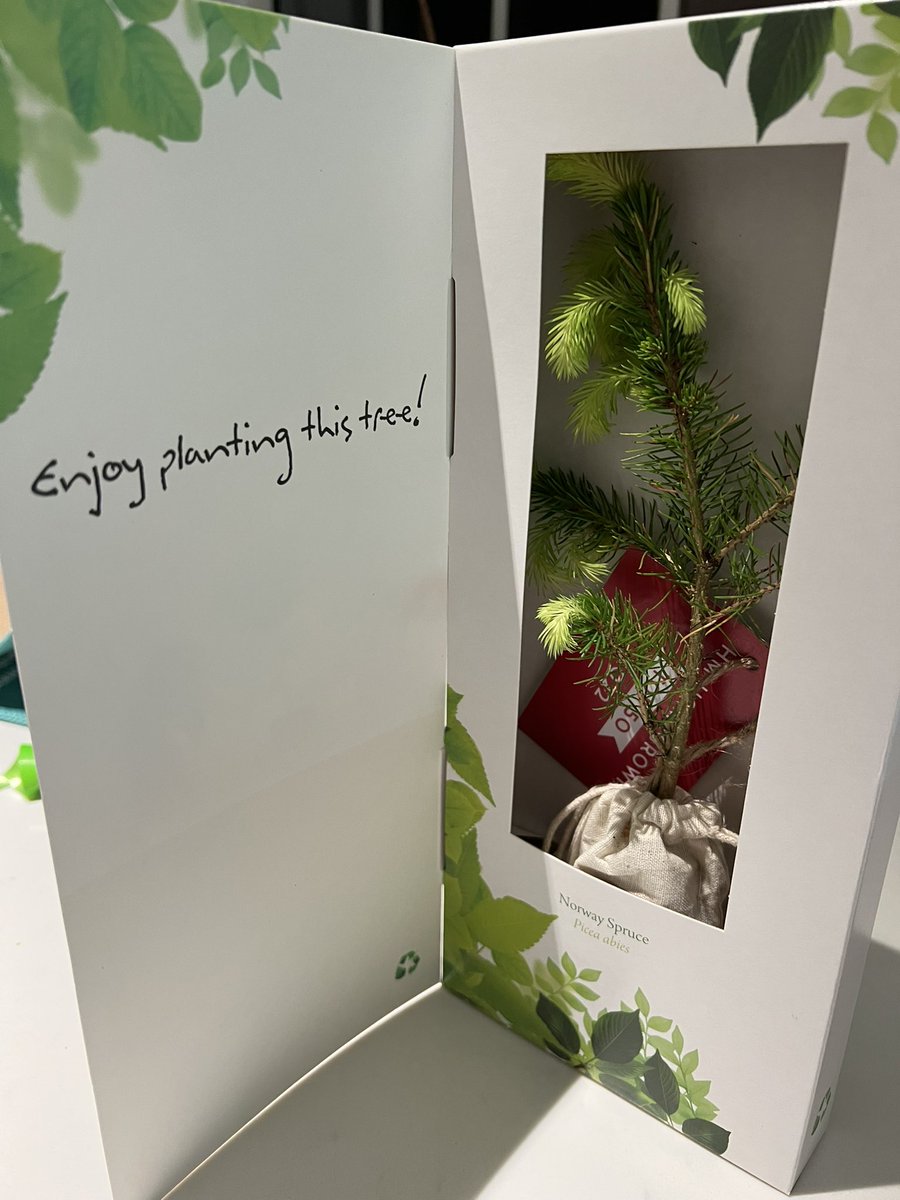 Milestone Nisa Extra tweet media