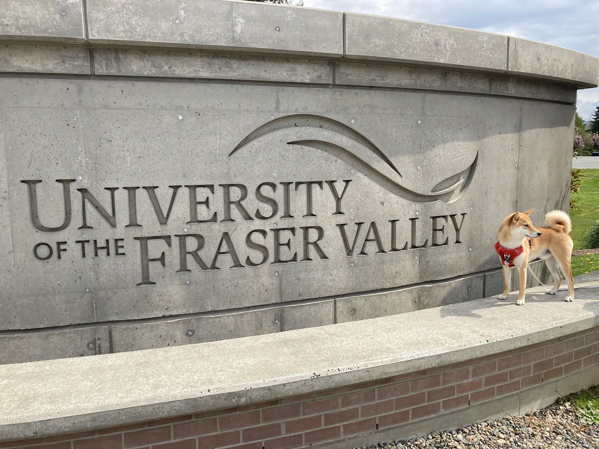 CanceHo's tweet photo. When you have your #facultyevaluation on campus and also #dogsitting your fur-nephew. Family day @goUFV @ufvARTS @UFVArtsstudies @jagtweets #yeartwo #phewipassed https://t.co/JAMKKAvsrL