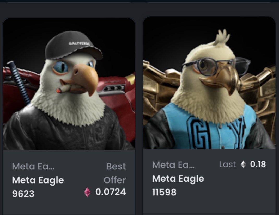 thecryptoyeti's tweet photo. @kryptobaby7777 @galyverse #Metaeagles are a good play https://t.co/3hdyc3JLEL