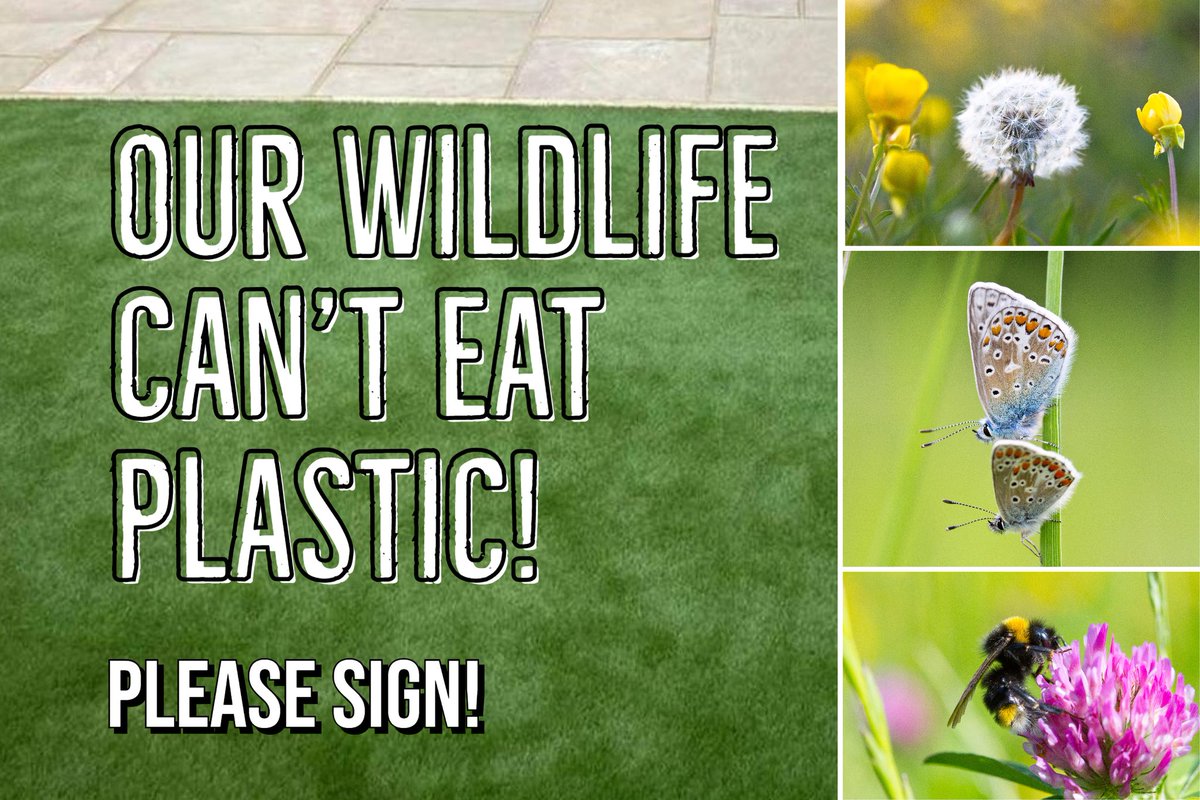 Richard Dowling 🐝 tweet media