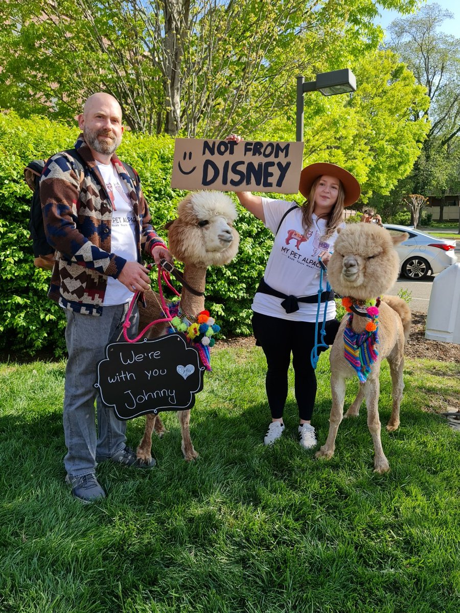 MyPetAlpaca's tweet photo. HE FINALLY SAW THEM!!! 😍❤❤❤❤❤❤❤❤❤❤❤
#JohnnyDeppVsAmberHeard #JusticeForJohnnyDepp #JohnnyDepp #trial #alpaca #peruvian https://t.co/4gnZ2dEbsc