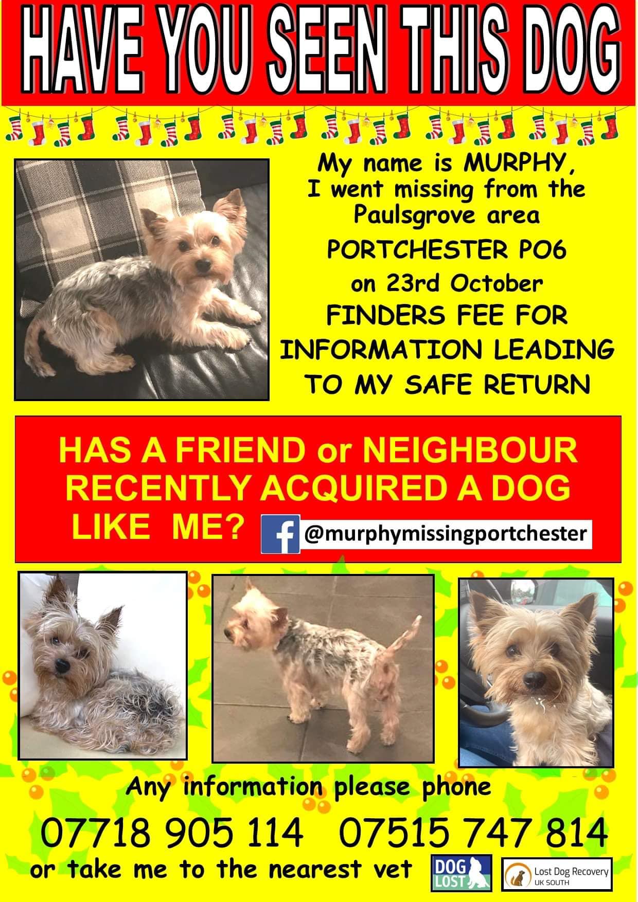 Animal Adoptions UK 🐕🦺🐈🐎❤️ on Twitter: Animal Adoptions UK 🐕🦺🐈🐎❤️ on Twitter:
