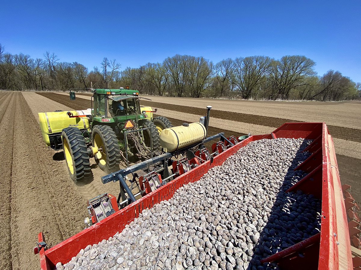 Alright everyone, save those rain dances for irrigating season. Right now we need all the sunshine and warm weather we can get! Finally a beautiful day to get some taters into the ground! #Plant22 #ontag #ontariopotatoes <a href="/dewulf_group/">dewulf</a>