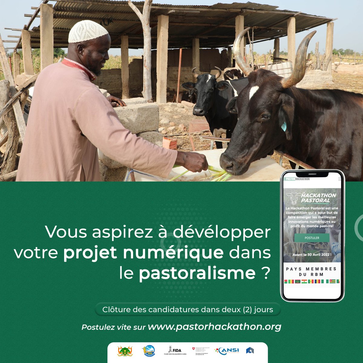 😱⏳L'appel à candidature sera clos dans deux(02) jours !
🏃🏾Postulez vite au #pastorhackathon2022 sur pastorhackathon.org pour saisir l'opportunité de devenir lauréat 🏁parmi les meilleures innovations pour le #pastoralisme au #Sahel et en Afrique de l'Ouest.
