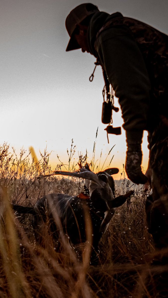 Duck Lander Call Co. tweet media