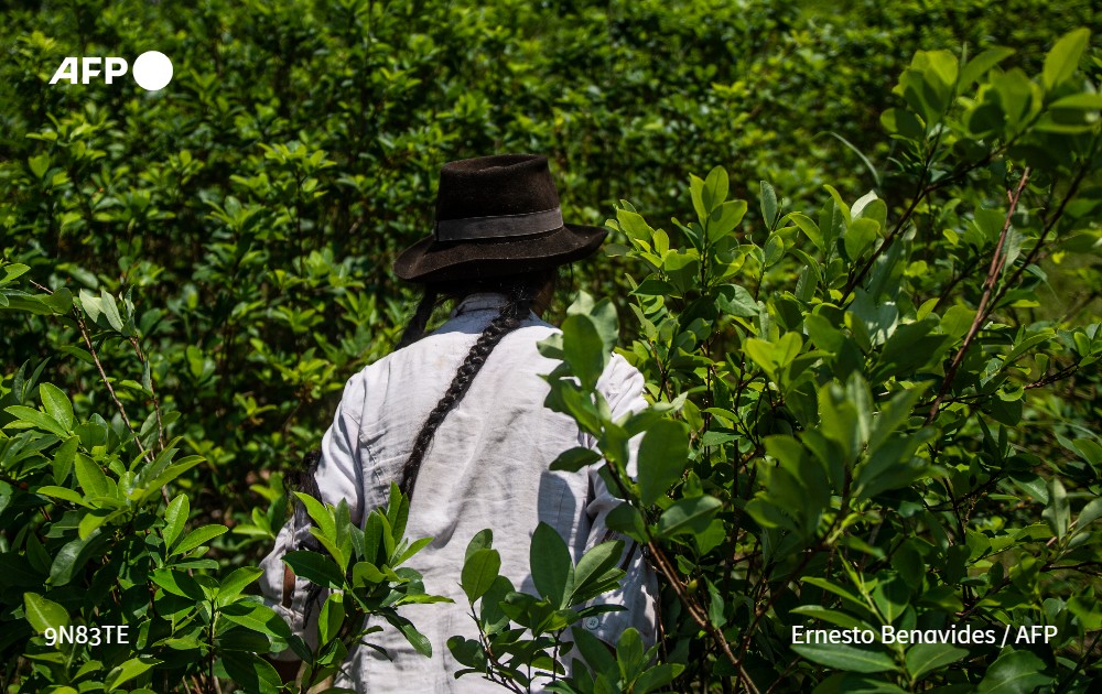 AFP News Agency on Twitter "Peru's government has announced a plan to