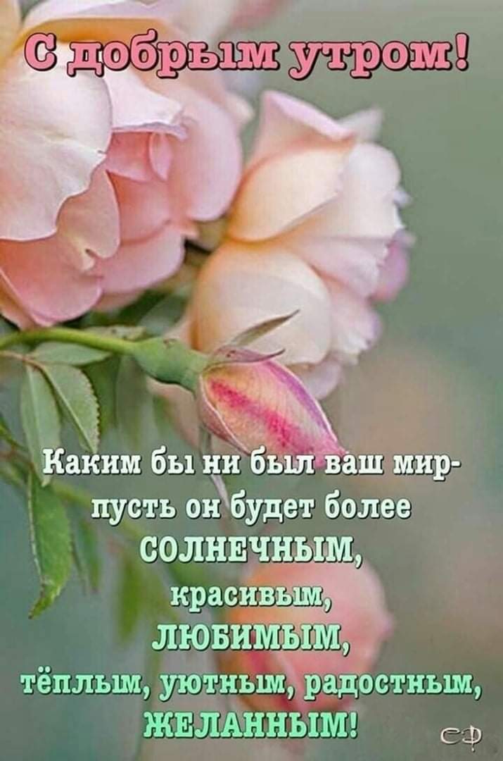 Славия (@slavyia) on Twitter photo 