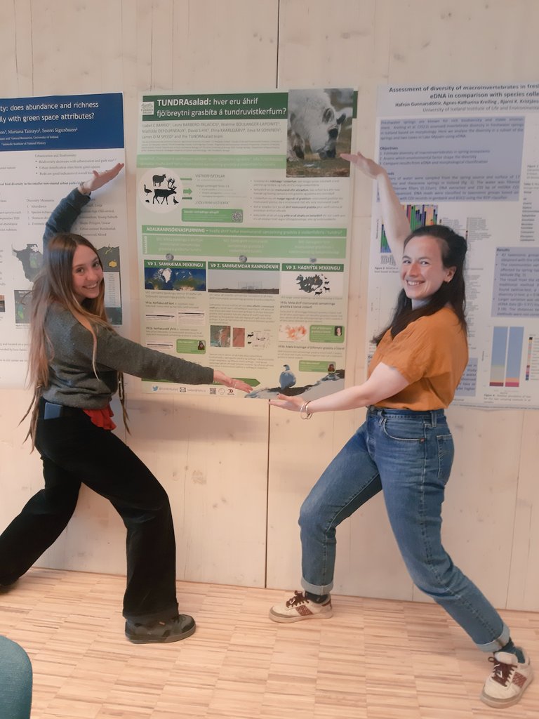 So proud of our first <a href="/TundrAsalad/">TUNDRAsalad</a> poster in Icelandic at #VistÍs2022!! 🇮🇸🤩 Thanks @soolveigSA for language help!