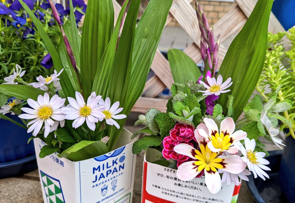 りほすず 雨の日 朝から雨 前日 実家の庭の花を摘んで花瓶代わりの牛乳パックに差しておいた 友達と昼ごはんを一緒に食べるので持って行くよ ランチ会という言葉かもしれない 相手がお返しを考えなくていいから贈り物はさりげなくね いちばんの