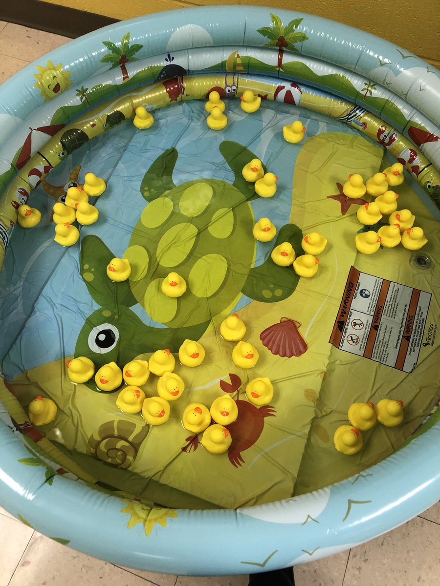 JWMartinSchool's tweet photo. These 2 little pools filled with ducks caused a lot of excitement in school today for our #TryonStrong fundraiser! More to come about how much was raised from our Big Red Spirit Day and Duck Hunt! #MartInThisTogether #LoveNorthSchools https://t.co/lhLbdfHIlQ