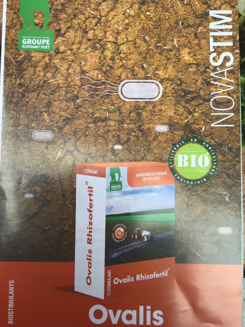Sib7670's tweet photo. 《Un Africain,un espace agricole 》
Des engrais organiques efficaces sont disponibles chez #NMAF.
#Ovalis +#fertinova vous assurent une meilleure rentabilité en qualité et en quantité tout en respectant la bio sécurité.
Wathsap/+22376700106
#DRA
#CMDT https://t.co/PuTKWz2WU6