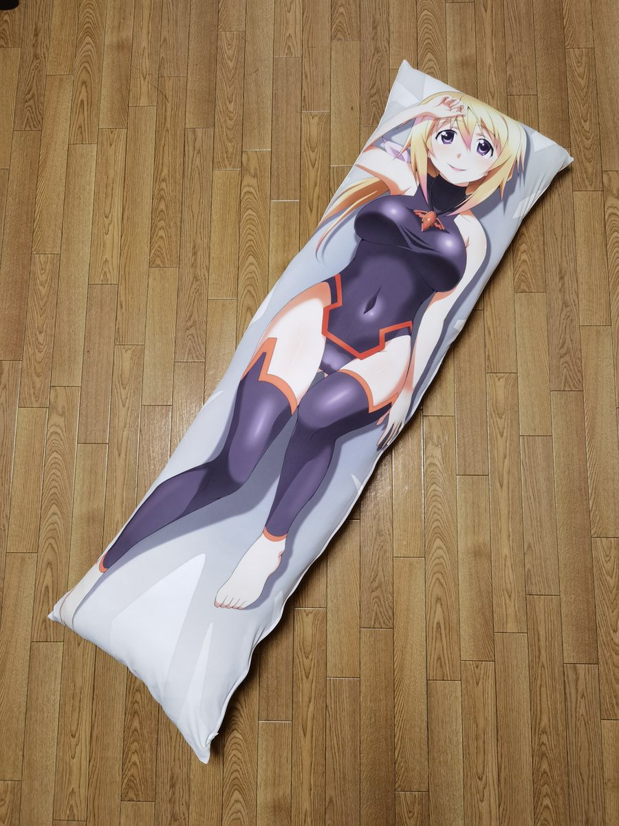 シャルちゃん抱き枕
追加生産分が無事に届いたみたいです

一応この抱きまくらは受注生産でワンオーダーですが、欲しい方いらっしゃいましたらその都度再生産するので、興味ある方はご連絡下さい 