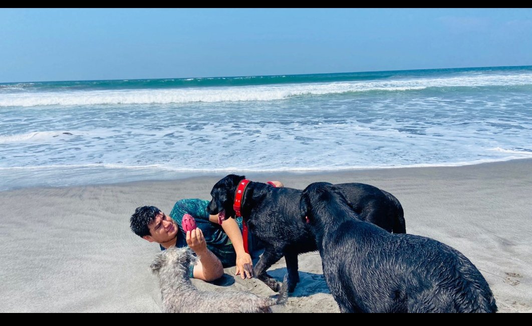 Javi11M's tweet photo. 🌅🏖️😍 https://t.co/XUnsm75fK0