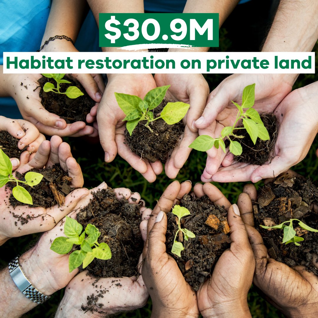 VicGovAu's tweet photo. We are seeking expressions of interest from suitable organisations which can deliver an ambitious program to revegetate and restore at least 20,000 hectares of native habitat across private land in Victoria. https://t.co/N9yoEjJBi9 https://t.co/0BMHxx1unS