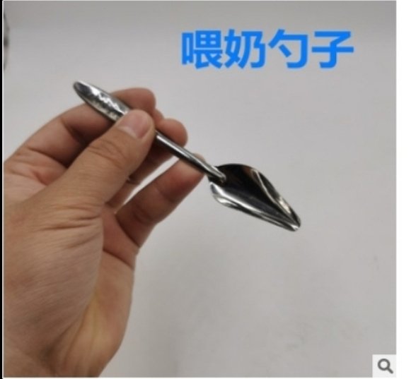 GKPets1's tweet photo. Handfeeding Spoon , Now Available In Best Wholesale Price 

Call or Whatsapp for Orders @ 9884555888 https://t.co/BqI56nzbG6
