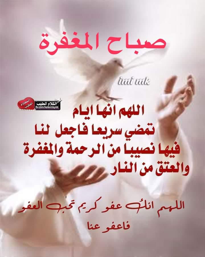 deersnjaar's tweet photo. https://t.co/7DoNjv6jxt