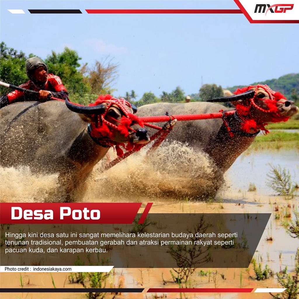 MXGP_Sumbawa's tweet photo. https://t.co/OFE5qpb911