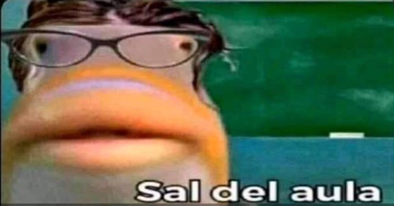NegroCaucasico's tweet photo. Yo:Respondo sin levantar la mano*

La profesora: https://t.co/bLvK3HxeRQ