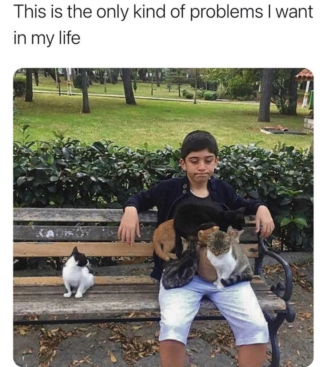 RespectfulMemes's tweet photo. https://t.co/xAz4xPKHbO