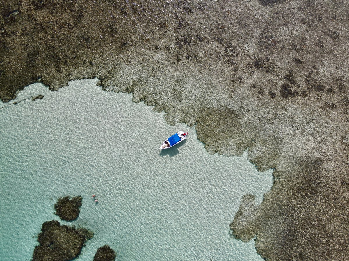 Ruitort2's tweet photo. Boipeba, est une petite île bordée de plages sublimes située dans l’Etat de Bahia, plus précisément dans l’archipel de Tinharé. Ici, vous ne trouverez ni voitures, ni banques, ni  distributeurs !  #boipeba #bresil
https://t.co/vADuc2RKqs https://t.co/ACyCMOYa5A