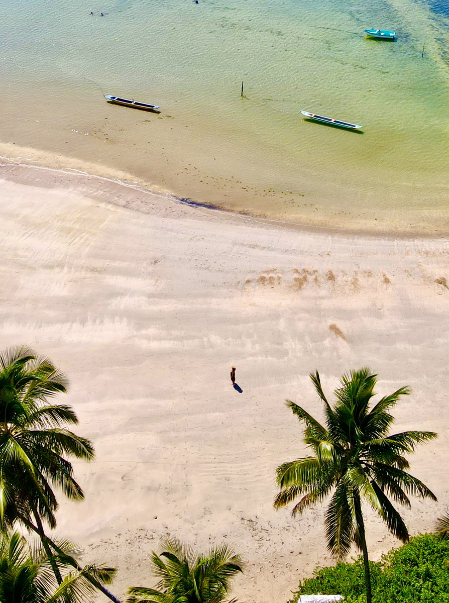 Ruitort2's tweet photo. Boipeba, est une petite île bordée de plages sublimes située dans l’Etat de Bahia, plus précisément dans l’archipel de Tinharé. Ici, vous ne trouverez ni voitures, ni banques, ni  distributeurs !  #boipeba #bresil
https://t.co/vADuc2RKqs https://t.co/ACyCMOYa5A