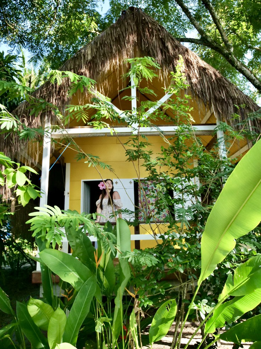 Boipeba, est une petite île bordée de plages sublimes située dans l’Etat de Bahia, plus précisément dans l’archipel de Tinharé. Ici, vous ne trouverez ni voitures, ni banques, ni  distributeurs !  #boipeba #bresil
bookdevoyage.com/post/le-bresil…