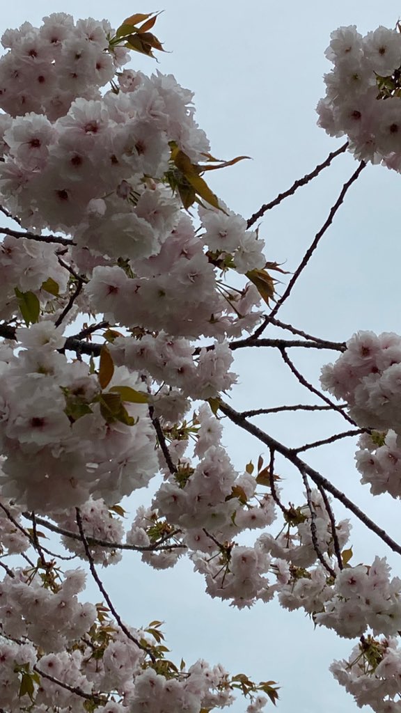 mitimacky1's tweet photo. 音楽最高
#ARABAKI 
#今にも雨降りそう
#2019ぶり https://t.co/MEYkHtlSHm