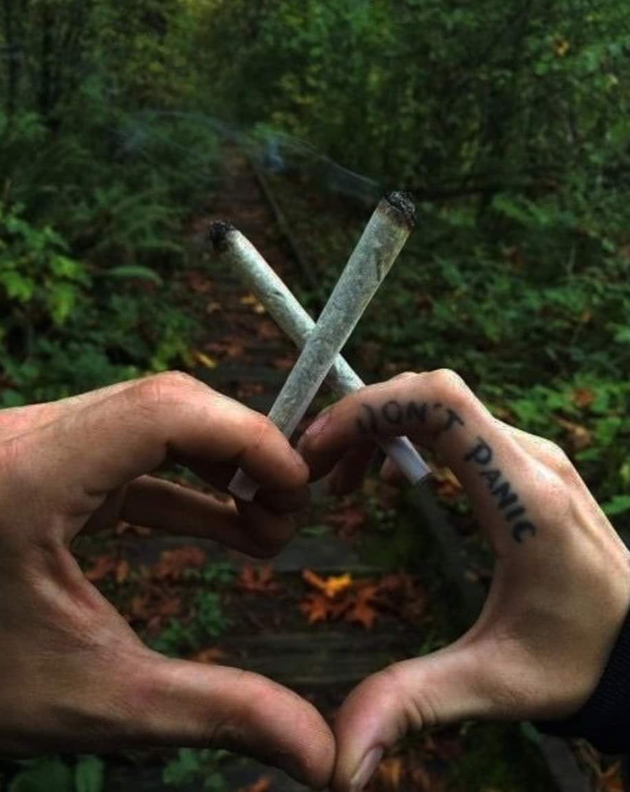 bongo159's tweet image. 