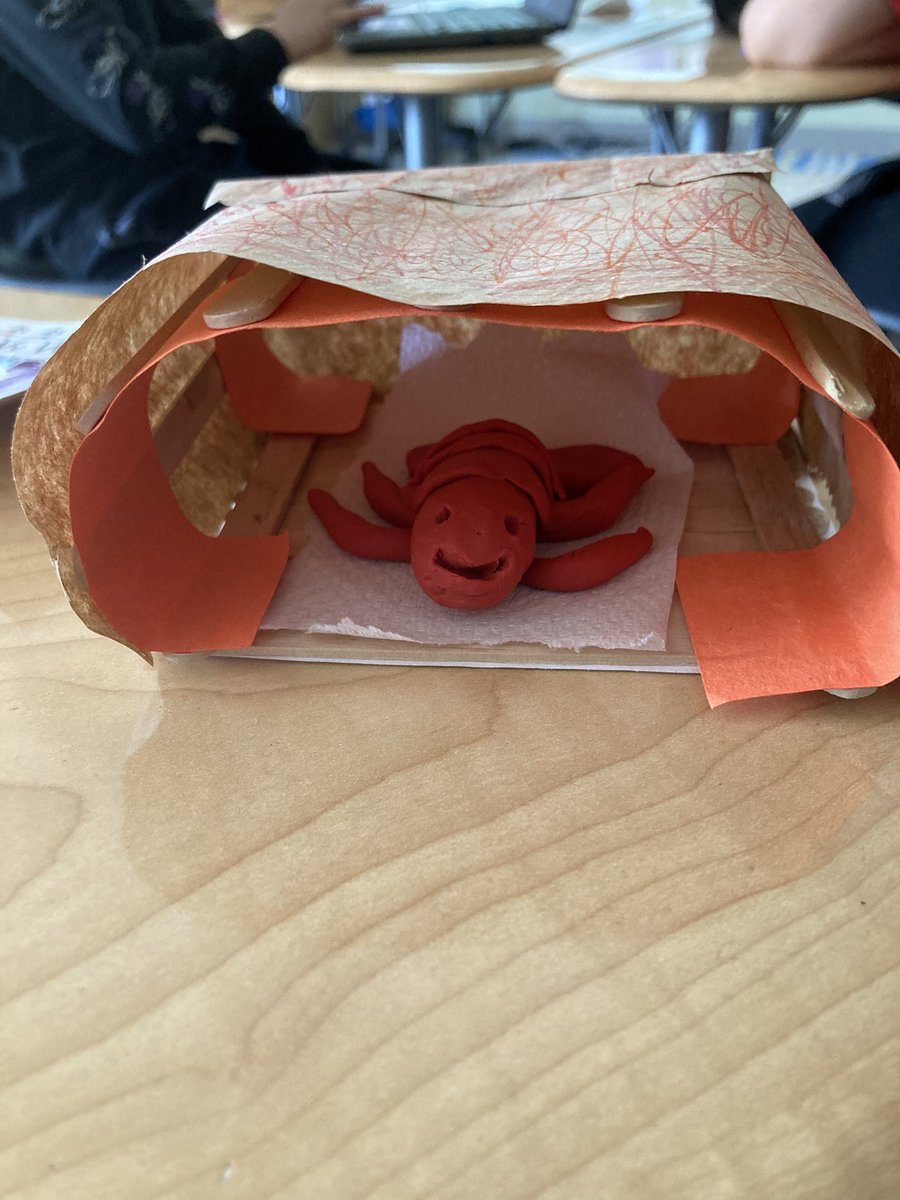 Adventures with Mrs.Allen tweet media