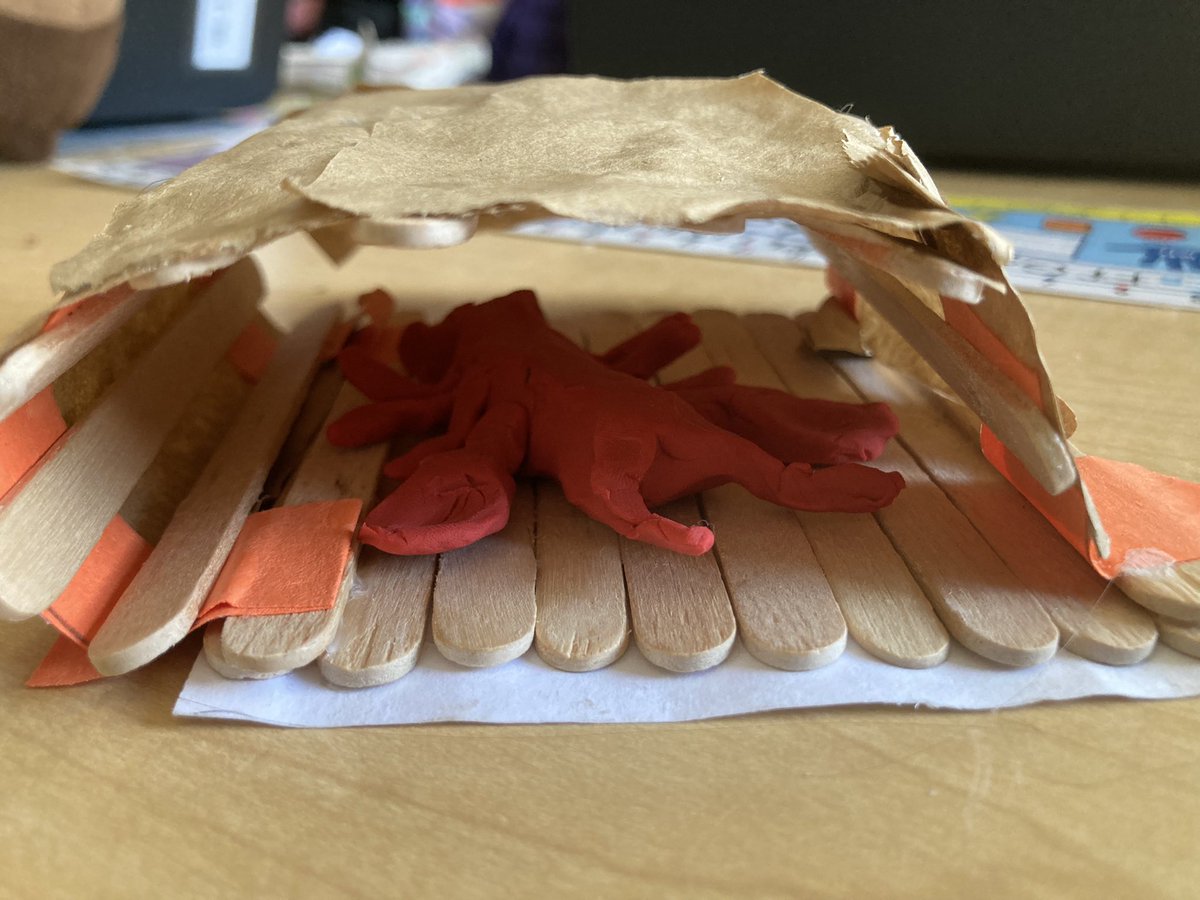 Adventures with Mrs.Allen tweet media