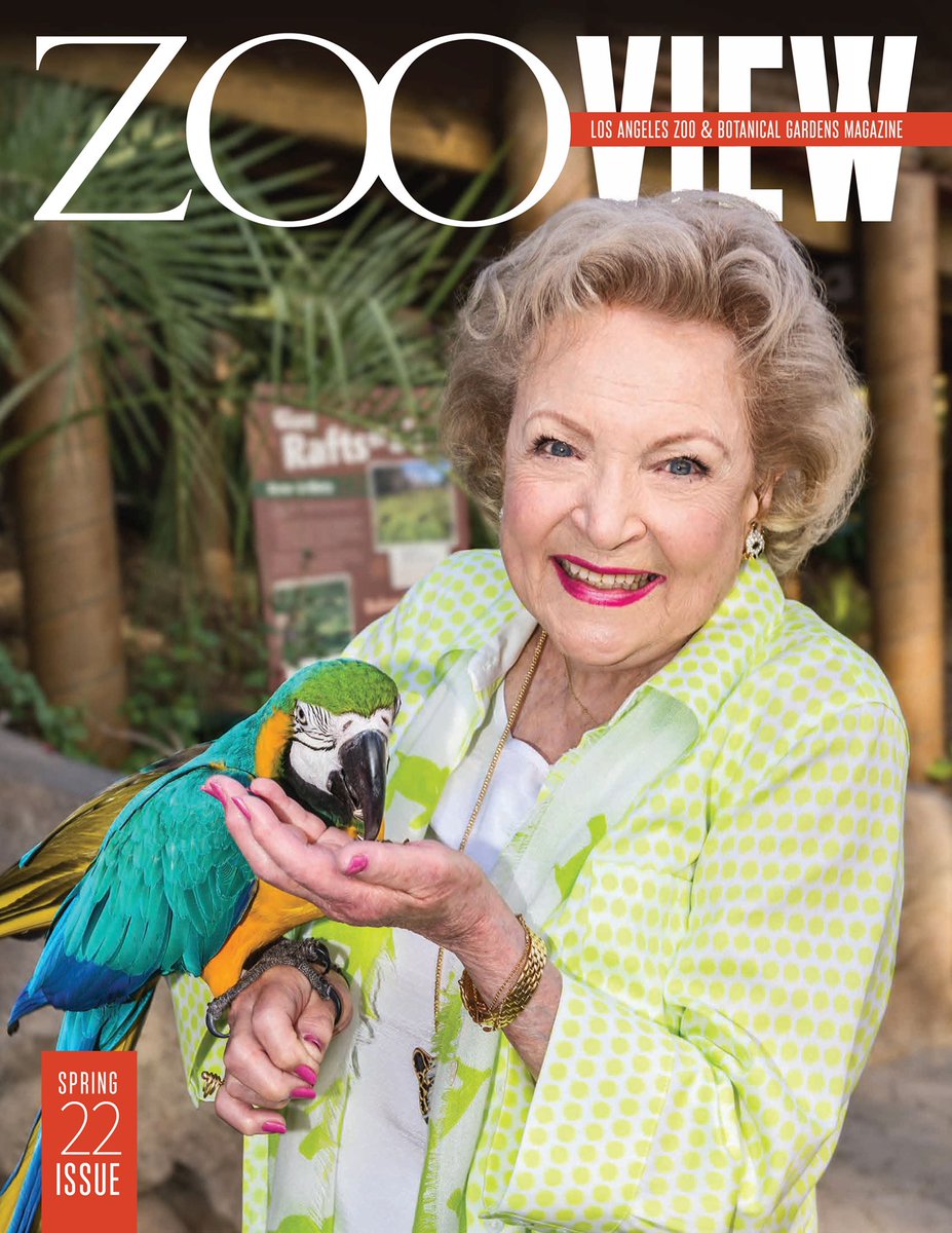bsroyce's tweet image. So bittersweet writing about our beloved Betty White for the new issue of Zoo View, the LA Zoo’s member mag. Read online here: lazoo.org/zooview