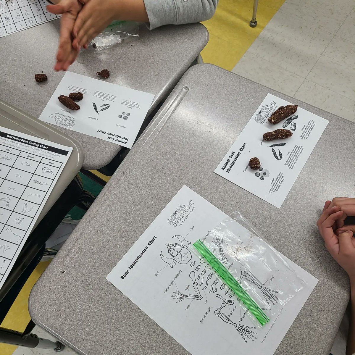 Keri Johnson tweet media