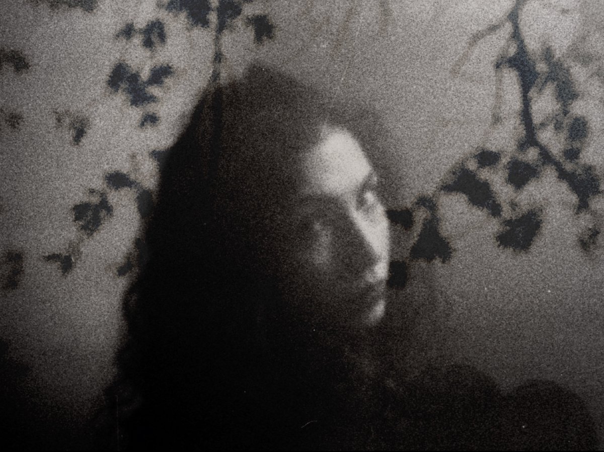 govoes's tweet image. morning buy! 

some from a thread I made a earlier this month 🥰

featuring:
@algifs 
@joannacanara 
@arifansdr 
@dilaarapak 

#nftcollector #tezosart