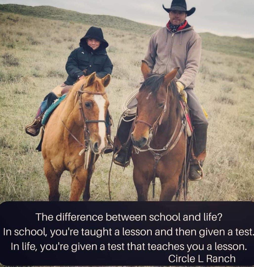 EricJSing68's tweet image. 